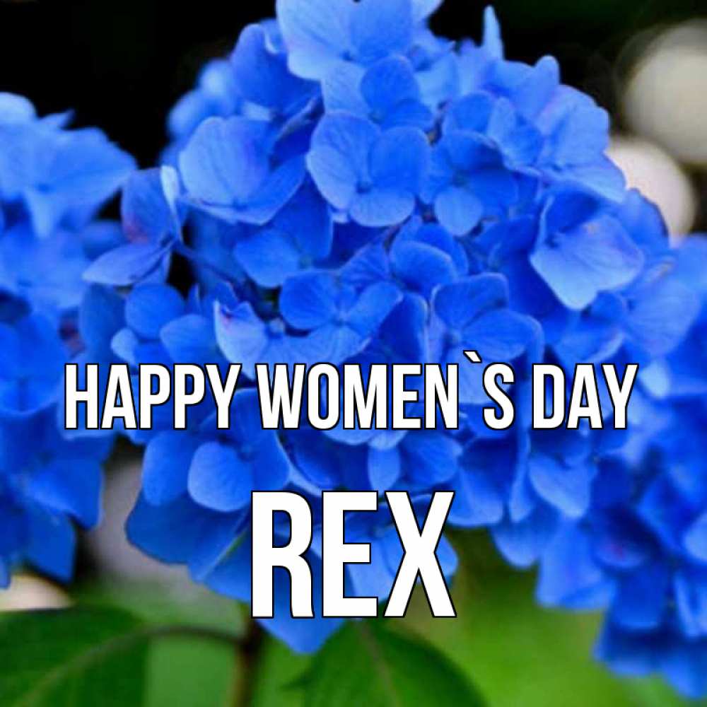 Greetings card с именем, Rex happy women`s day синие цветы Greetings with text for free download 